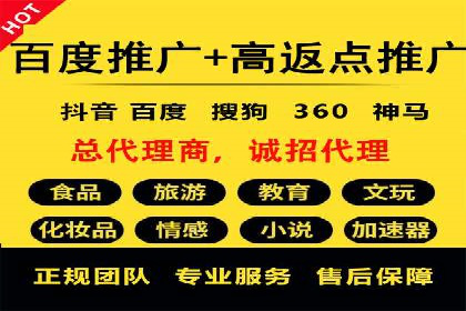 行业领先企业的SEM广告投放策略案例
